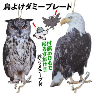 シンセイ 防鳥具 まいっ鷹 QNZH-1.8-4 鳥よけ カイト 凧 : 農家 シンセイ 防鳥具 まいっ鷹 QNZH-1.8-4 鳥よけ カイト 凧 : 農家