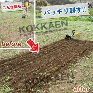 国華園 ワイルド耕耘機 EX 1台 バッテリー...の詳細画像3