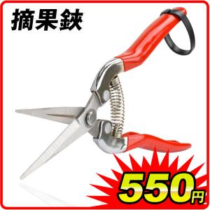国華園 摘果鋏 1個 収穫 鋏 はさみ ハサミ ...の商品画像