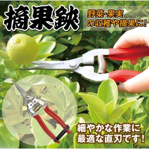 国華園 摘果鋏 1個 収穫 鋏 はさみ ハサミ...の詳細画像3