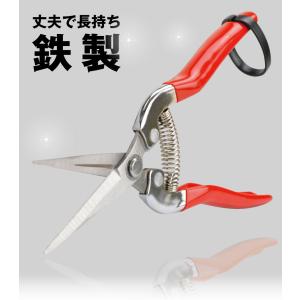 国華園 摘果鋏 1個 収穫 鋏 はさみ ハサミ...の詳細画像4