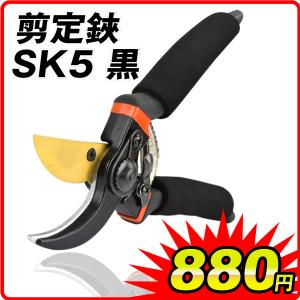 最大20mmまで裁断可能】 園芸用 剪定ばさみ 錆びにくい ガーデニング
