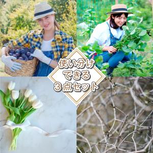 国華園 収穫鋏 園芸鋏3点セット 1組 収穫 ...の詳細画像2