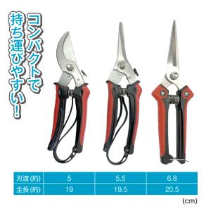 国華園 収穫鋏 園芸鋏3点セット 1組 収穫 ...の詳細画像3