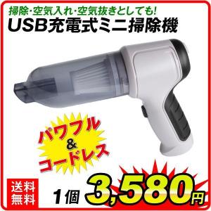 掃除機 USB充電式ミニ掃除機 １個 1台3役多機能 電動 ハンディ掃除機 ハンディークリーナー 9000Pa強力吸引力 コードレス キーボード 車 ペット 国華園