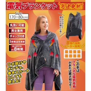 国華園 電気毛布 掛け毛布 電気ブランケット(...の詳細画像1