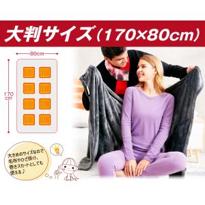 国華園 電気毛布 掛け毛布 電気ブランケット(...の詳細画像4