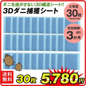 3次元ダニ取りシート 1箱 : 花と緑 国華園 - 通販 - Yahoo!ショッピング