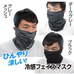 国華園 フェイスカバー 接触冷感 ひんやり 冷感...の商品画像