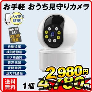 NS-9015WMS らくらくeye cam ワイヤレスカメラセット : NSKダイレクト