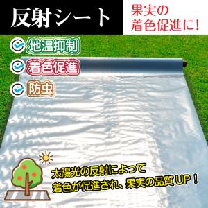 国華園 反射シート1.2×30m 1巻 反射フ...の詳細画像1