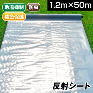 国華園 反射シート1.2×50ｍ　1巻 反射フィルム アルミ 反射クロスシート 農業 ガーデン 着色促進 果実 リンゴ ぶどう 梅 桃 銀反射 光反射シート