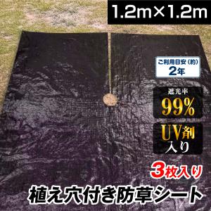 抗菌剤入)草よけシート (0.5mx10m) 爆買 : プロ農業 家庭菜園のお店