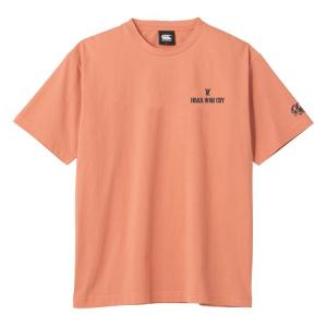 Jリーグ 柏レイソル応援ウェア 柏Tシャツ サッカー 一文字バック