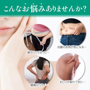骨盤ショーツ 骨盤ケア ガードル 一枚履き 補...の詳細画像1