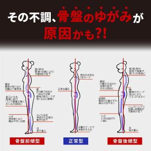 骨盤ショーツ 骨盤ケア ガードル 一枚履き 補...の詳細画像2