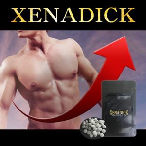 SALE XENADICK男性用サポートサプリ 賞味期限2022.12 ゆうパケット