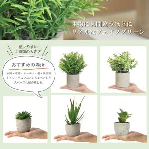 フェイクグリーン5点セット 観葉植物 人工観葉...の詳細画像1