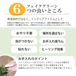 フェイクグリーン5点セット 観葉植物 人工観葉...の詳細画像2