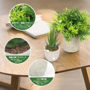 フェイクグリーン5点セット 観葉植物 人工観葉...の詳細画像5