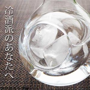酒器 冷酒 ガラス製 氷 ポケット ウイスキー...の詳細画像4