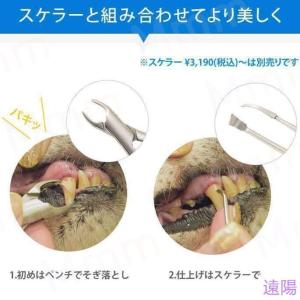 愛犬・愛猫用 歯石取り ペンチ 犬 歯石 デン...の詳細画像4