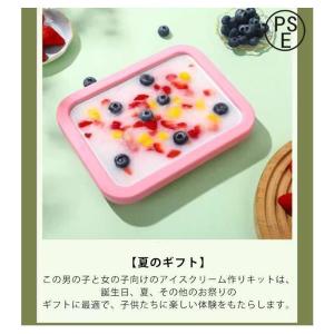 フローズンヨーグルト メーカー プレート シャ...の詳細画像5