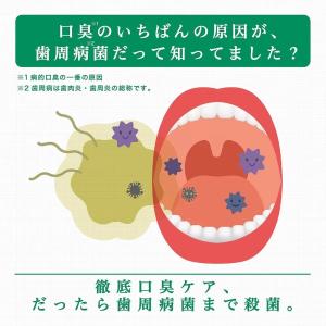 【セール価格9/13 22時まで】 GUM (...の詳細画像2