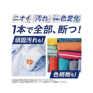 【お買い得】ナノックスワン ナノックス 業務用...の詳細画像4