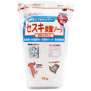 トーヤク セスキ炭酸ソーダ 1kgの商品画像