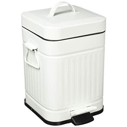 ビーシーエル(b.c.l)アントレックス Galva スクエアダストボックス 3L マットホワイト ...