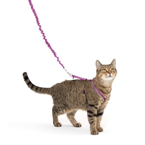 PetSafe（ペットセーフ）猫のハーネス イージーウォーク ネコ用ハーネス&amp;バンジーリード ダステ...