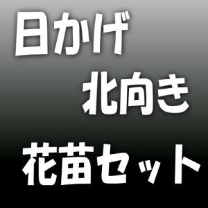 【送料無料】【北向き・日陰・ベランダ】シェード...の詳細画像1