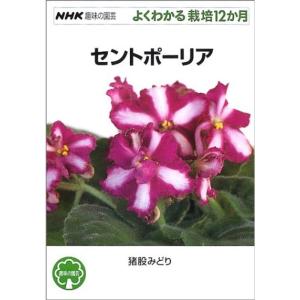 セントポーリア (NHK趣味の園芸 よくわかる栽培12か月)｜kokonararu-2