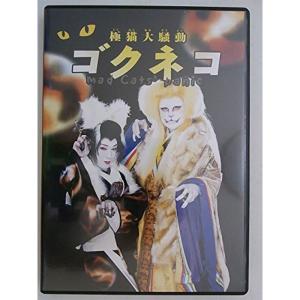 DVD 花組芝居『ゴクネコ』 演出:加納幸和 出...の商品画像