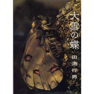 大雪の蝶 (1978年)｜kokonararu-2
