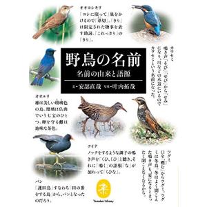 ヤマケイ文庫 野鳥の名前 名前の由来と語源｜kokonararu