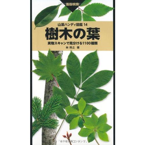 樹木の葉 実物スキャンで見分ける1100種類 (山溪ハンディ図鑑)