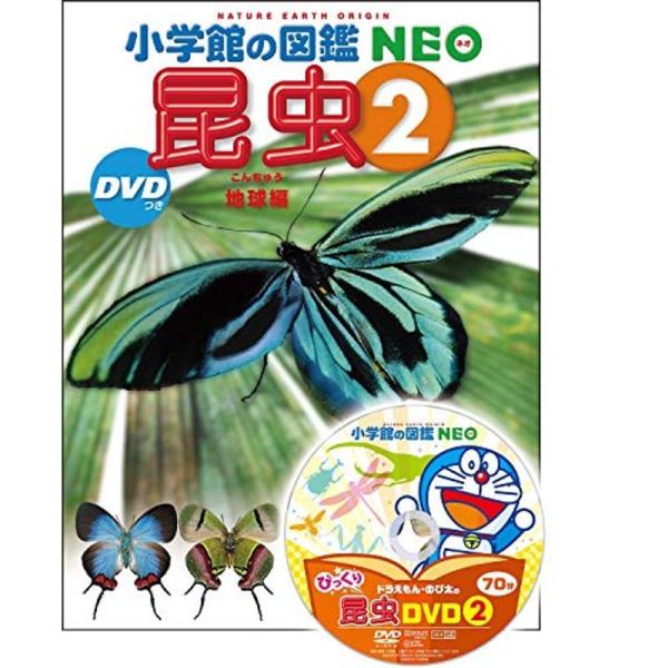 昆虫2 DVDつき: 地球編 (小学館の図鑑NEO)