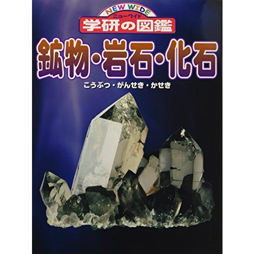 鉱物・岩石・化石 (ニューワイド学研の図鑑)