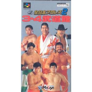 全日本プロレス2 3・4武道｜kokonararu