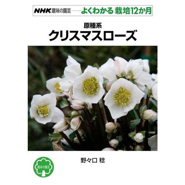原種系クリスマスローズ (NHK趣味の園芸 よくわかる栽培12か月)