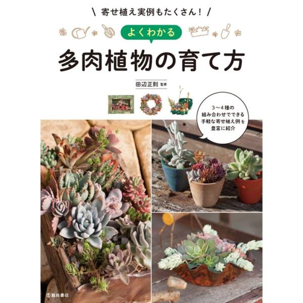 寄せ植え実例もたくさん よくわかる多肉植物の育て方