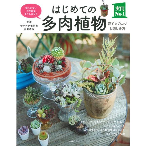 はじめての多肉植物 育て方のコツと楽しみ方 (主婦の友実用No.1シリーズ)