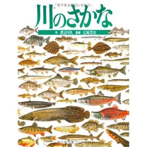 川のさかな (絵本図鑑シリーズ)｜kokonararu