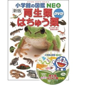 DVD付 新版 両生類・はちゅう類 (小学館の図鑑 NEO)