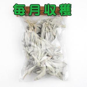 オーガニックホワイトセージ　30g クリックポスト