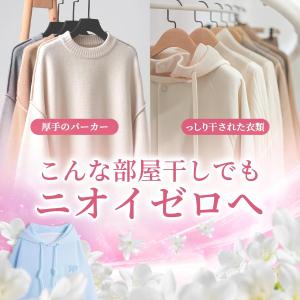 ボール型洗濯洗剤 ジェルタイプ 洗濯洗剤 10...の詳細画像3