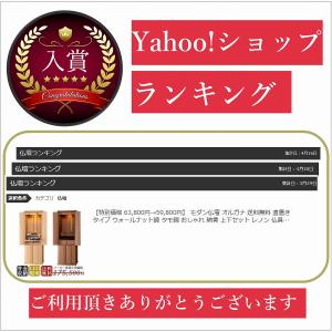 【特別価格 63,800円→60,800円】 ...の詳細画像1