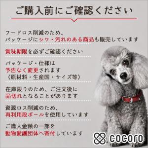 ヒルズ サイエンスダイエット パウチ シニアト...の詳細画像5